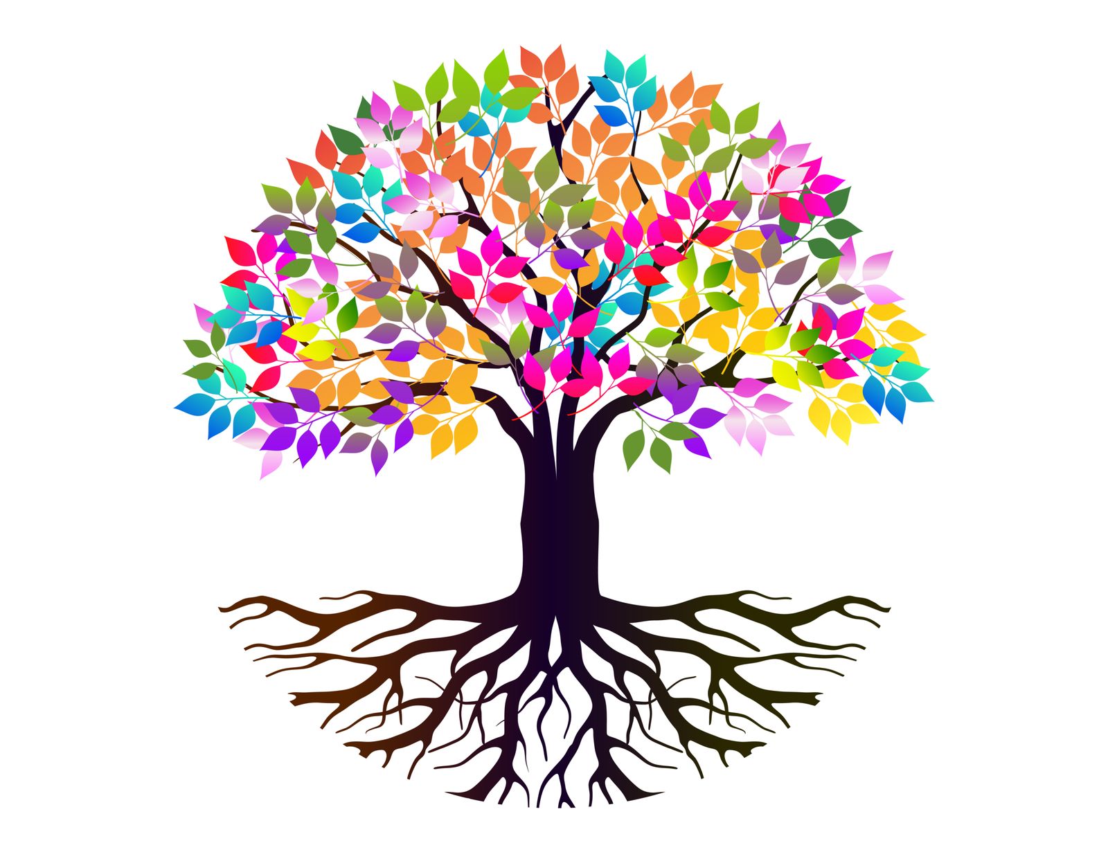 coloured-leaves-tree-scaled Logo Inner Resilience Coloured Tree